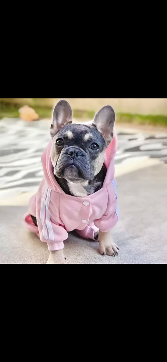 Cozy Pup™ French Bulldog & Small Dog Jumpsuit – Soft, Stylish & Snug Pet Outfit