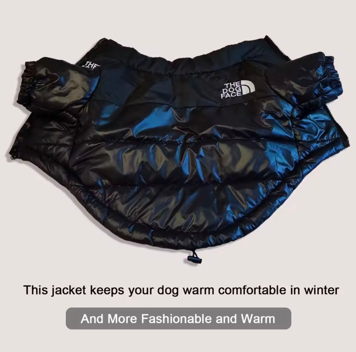 Winter Windproof Dog Jacket – Warm Reflective Coat for Small & Medium Dogs