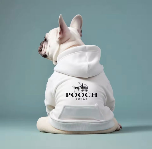 Comfort Wear — Cozy Autumn & Winter Essentials for Small Dogs