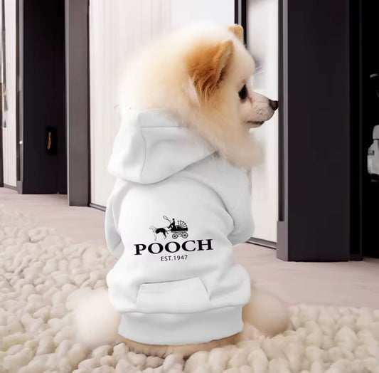 Comfort Wear — Cozy Autumn & Winter Essentials for Small Dogs