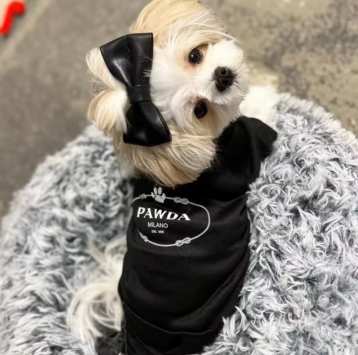 Cozy Fleece Dog Hoodie – Warm Autumn & Winter Outfit for Small & Medium Dogs