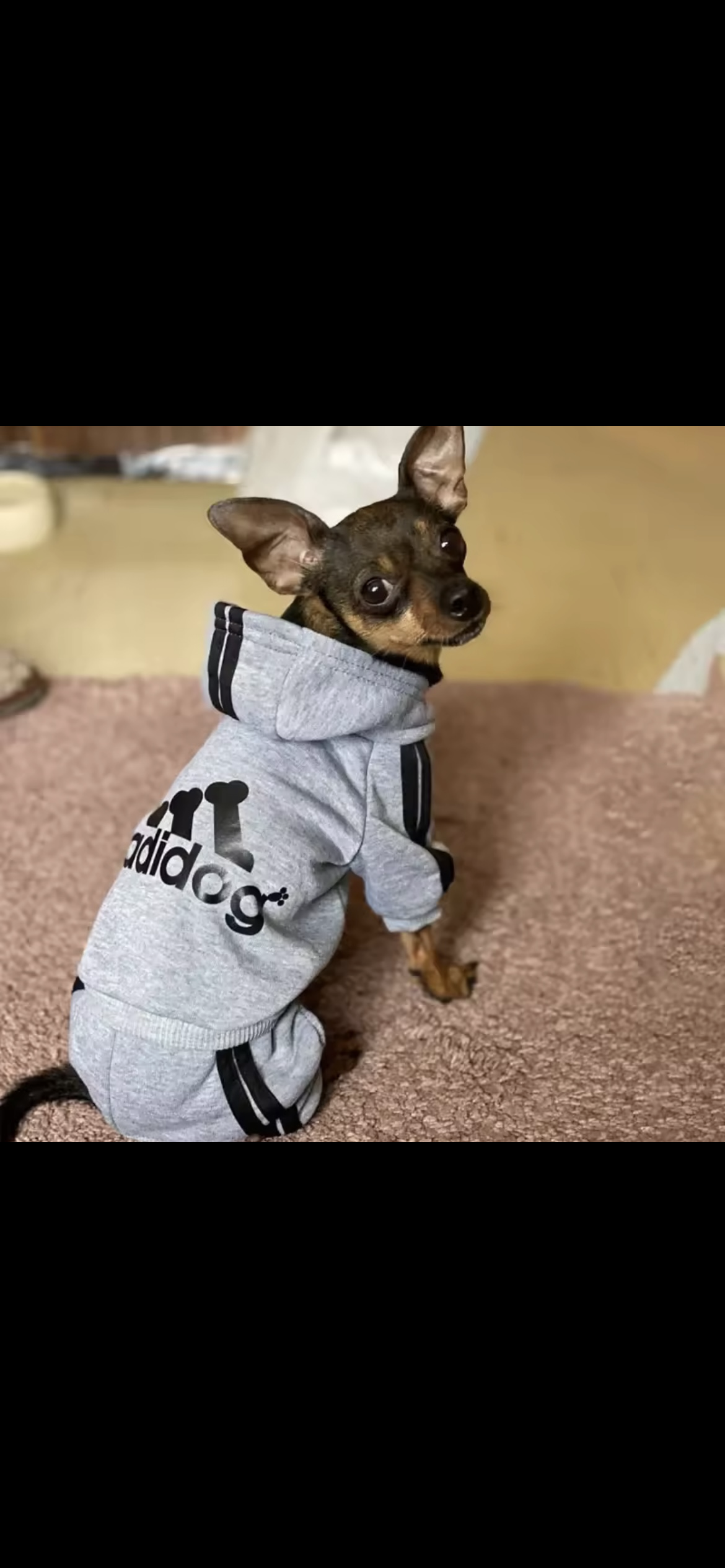 Cozy Pup™ French Bulldog & Small Dog Jumpsuit – Soft, Stylish & Snug Pet Outfit